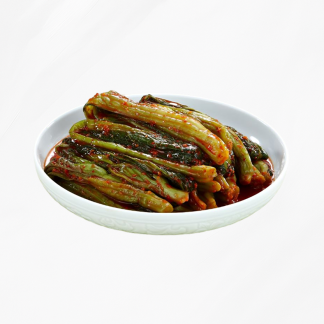 종가 우리땅 갓김치 5kg